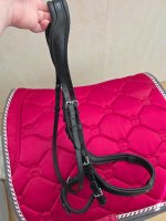 Уздечка 2.jpg