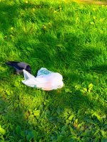 IMG_20250601_171640_523.jpg