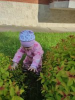 IMG_20250531_175918.jpg