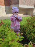 IMG_20250531_175916.jpg