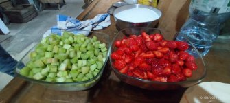 IMG_20250601_164331.jpg