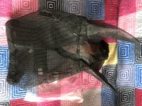 IMG_7532.jpeg