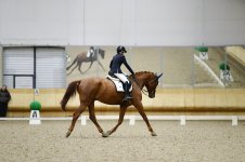 IMG_5746.JPG