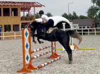 IMG_1922.jpeg