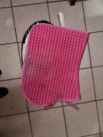 IMG_5542.jpeg