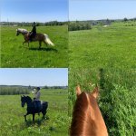 IMG_0662.jpeg