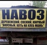 Screenshot_20250604-201258.jpg