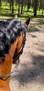 IMG_7753.jpeg