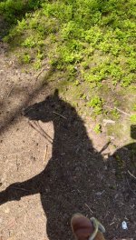 IMG_7751.jpeg