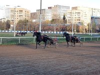 IMG-20221102-WA0005.jpg