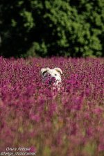 ywnc161U7hjK7yhS8QmSVmE8AasW0m_-TBvO6IGJWxDE6Z9XeO_Kkfa_I8otSFN2mpsq-8fJ9hyDDfqS3bprkmSy.jpg