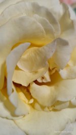 IMG_20250606_232756.jpg