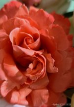 IMG_20250606_232652.jpg