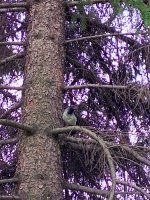 IMG_20250605_142853_798.jpg