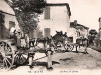 Anes-en-culottes-Ile-de-Re-Hotel-La-Maree.jpg