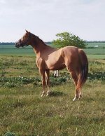 jQTjJIhUPS7Ko5D9MqpvncHWqWwHQwwkZQuZTVmthWJzWOM9GOYF4fIA3JkZ3NVnUYOvkUC4p-tMHFWsZGzrnBM3.jpg