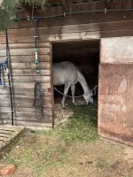 IMG_0882.jpeg