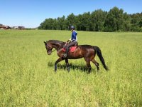 IMG_9227.jpeg