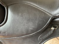IMG_8560.jpeg