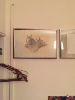 IMG_6498.jpeg