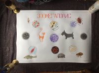 IMG_5439.jpeg