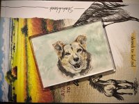 IMG_1131.jpeg