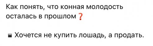 IMG_0404.jpeg