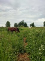 IMG_20250616_193039.jpg