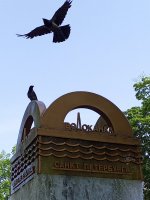 IMG_20250616_110507_334.jpg