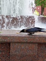 IMG_20250616_110213_499.jpg