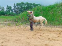IMG_20250617_160843.jpg