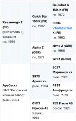 IMG_2491.jpeg
