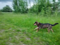 IMG_20250618_190044.jpg