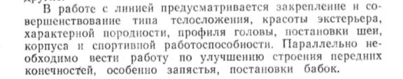 беспечный.jpg