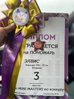 IMG_9748.jpeg