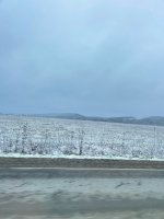IMG_2817_Original.jpeg