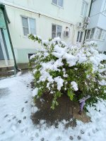 IMG_6026.jpeg