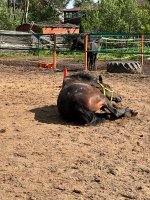 IMG_1367.jpeg