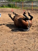 IMG_1369.jpeg