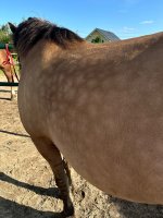 IMG_1372.jpeg