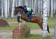 IMG_6700.jpeg