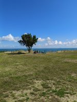 IMG20250622093137.jpg
