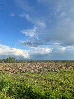 IMG_1504.jpeg