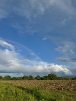 IMG_1507.jpeg
