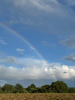 IMG_1509.jpeg
