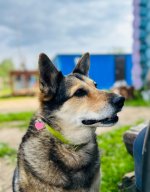 IMG_1543.jpeg