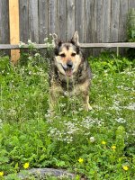 IMG_1401.jpeg