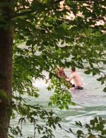 IMG_20250629_170846.jpg