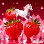 IMG_1614.jpeg