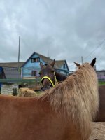 IMG_1584.jpeg